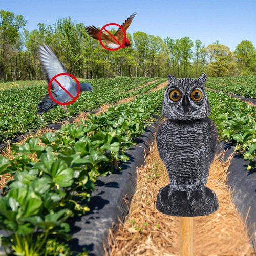 Lechuzas Para Ahuyentar Aves Búho Realista Y Resistente A La