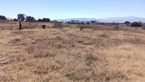 Terreno De 250 M2 En Ayotla Ixtapaluca