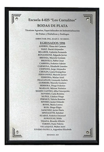 Placa Reconocimiento Egresados Aniversario Promoción Acero