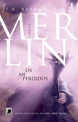 Merlin: Os anos perdidos (Vol.1): Os anos perdidos, de Barron, T. A.. Série Merlin (1), vol. 1. Editora Record Ltda., capa mole em português, 2013