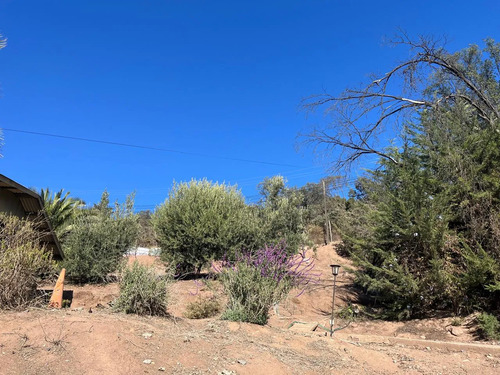 Oportunidad Inmejorable De Venta Parcela En Paine Con Arbole