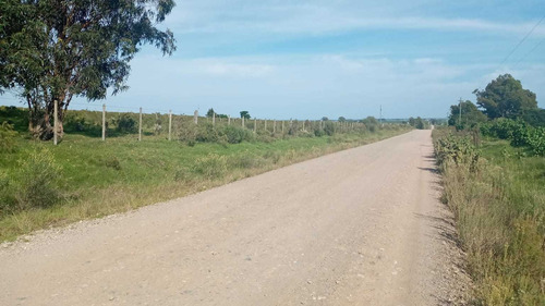 12 Hás. Agrícolas En Puntas De Solis A 250 Mts. Ruta 8