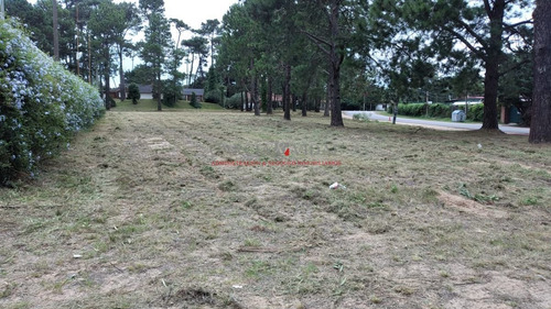 Imagen 2 de 4 de Terreno En Venta Barrio Cantegril, Punta Del Este - Punta Del Este Country