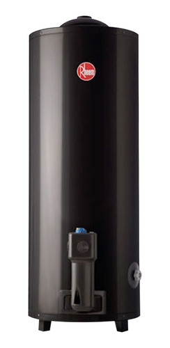 Imagen 2 de 2 de Termotanque a gas natural Rheem AEE TGNP080RH gris oscuro 80L