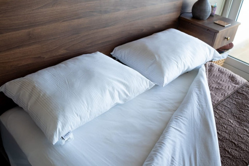 Imagen 4 de 10 de Pack Almohada Firm Support 50 X 70 Cms - Cannon