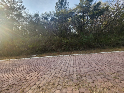 Venta Lote Gladiola 35 En Nueva Zona Del Fraccionamiento Con Bonitas Vistas, Todos Los Servicios Y Proyecto Incluído En Rancho San Diego Ixtapan De La Sal Edomex