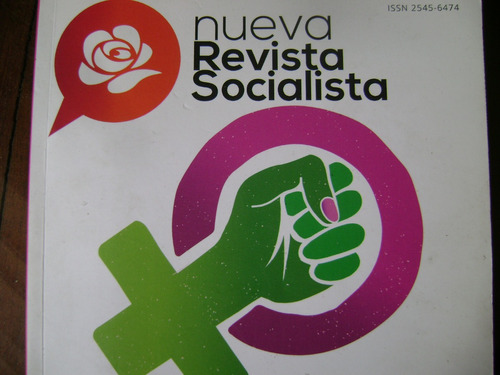 Nueva R. Socialista. Feminismo: Tradiciones, Luchas Y Debate