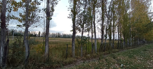 Imagen 5 de 10 de Terreno Ideal Para Fraccionamiento