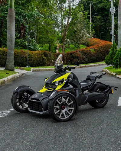 Can-am Ryker Rally