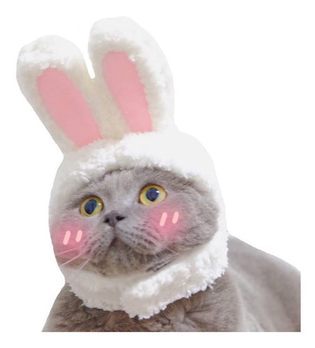 Disfraz Para Gato Gorro Con Orejas De Conejo Halloween