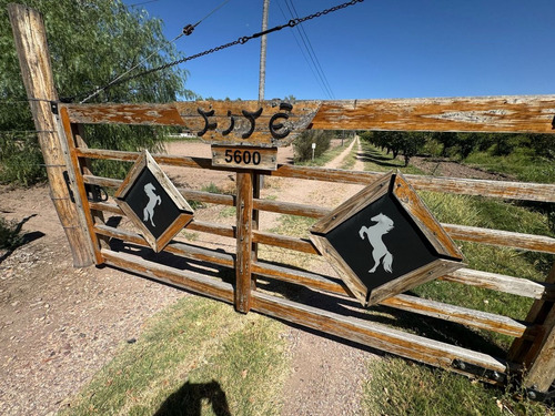 Finca A La Venta En San Rafel -gran Oportunidad
