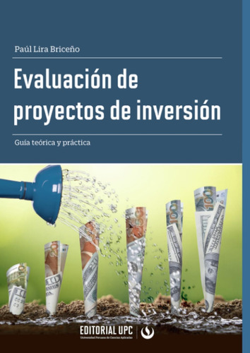 Libro: Evaluación De Proyectos De Inversión: Guía Teórica Y 