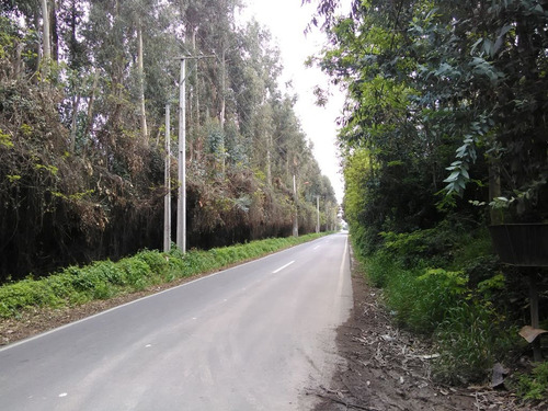 Excelente Parcela De 5.000.- M2 Camino A Campusano - Buin