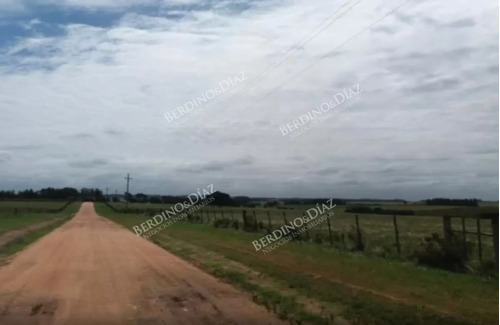 Campo Chacra Zona Narbona En Venta Cerca De Golf La Barra 