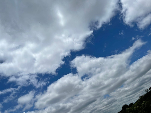Imagem 1 de 24 de M01- Oportunidade De Ter Sua Casa No Campo