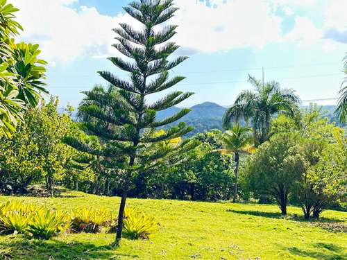 Proyecto Sinaí Mountain View Solares Para Villas En Sc