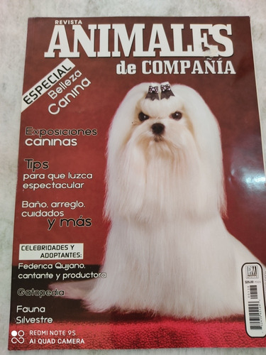 Revista Animales De Compañía Exposiciones Caninas Tips