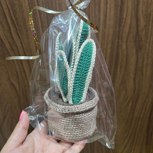 Maceta Tejida A Crochet Sanseveria Lengua Suegra Eterna