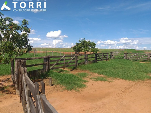 Imagem 12 de 20 de Fazenda À Venda Em Alto Alegre - Fa00176 - 69382951