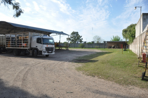 Imagen 8 de 14 de Depósito Y Terreno 10.000m2. Ingreso P/ Avenida Y Calle Lat.