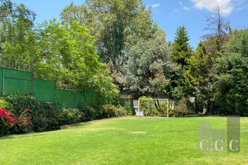 Imagen 20 de 21 de Seguridad Y Enorme Jardin Son Algunas De Sus Cualidades