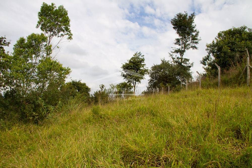 Imagem 5 de 8 de Área À Venda Em Dois Córregos - Ar009235