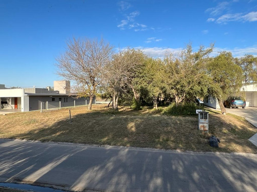 Imagen 4 de 8 de Lote En La Arbolada Hollywood - Plano - 1.200 M2