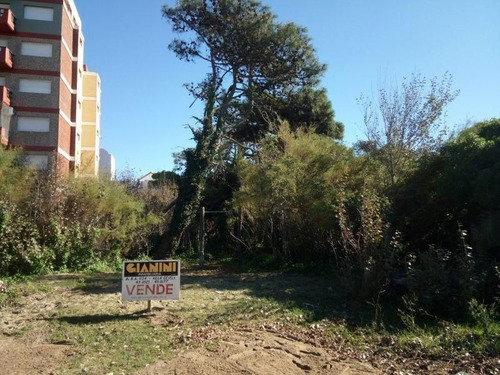 Imagen 2 de 3 de Lote | Av 2 Al 2500