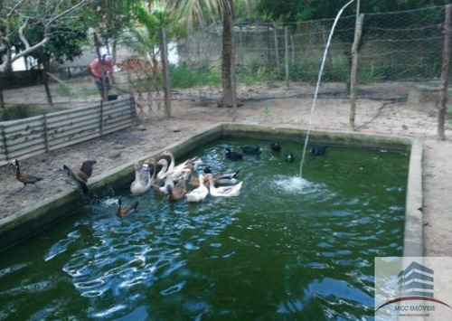 Granja A Venda Em Parnamirim