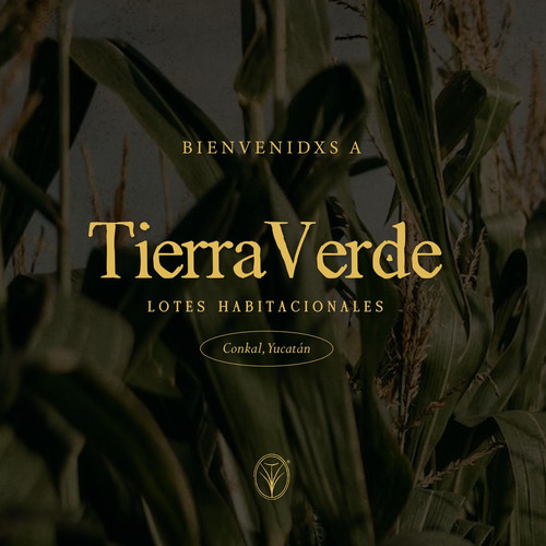 Terreno En  Venta En Tierra Verde- Conkal