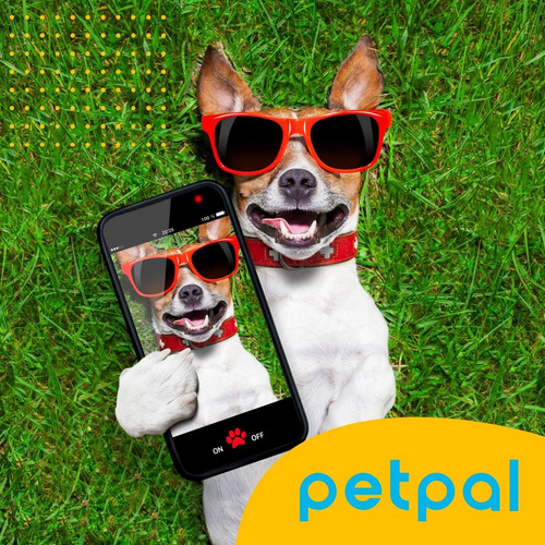 Imagen 9 de 10 de Maquina Corta Pelo Mascotas Perro Gato Kit Completo - Petpal
