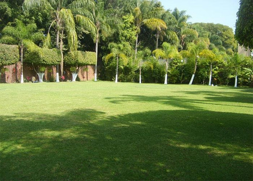 Imagen 4 de 10 de Hotel - Vista Hermosa