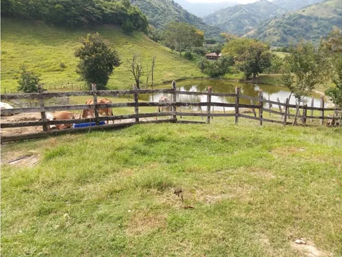Venta Finca El Limonar Ebéjico