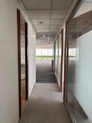 Oficina Frente Plaza Antara Polanco