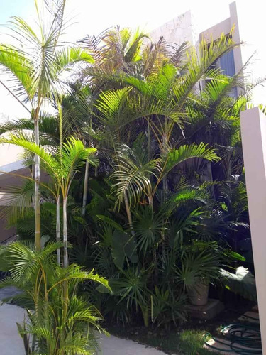 Casa En Privada En Playa Del Carmen
