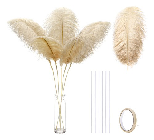 Ballinger Plumas De Avestruz Champan A Granel, Kit De Fabric