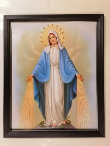 Cuadro Virgen De La Medalla Milagrosa