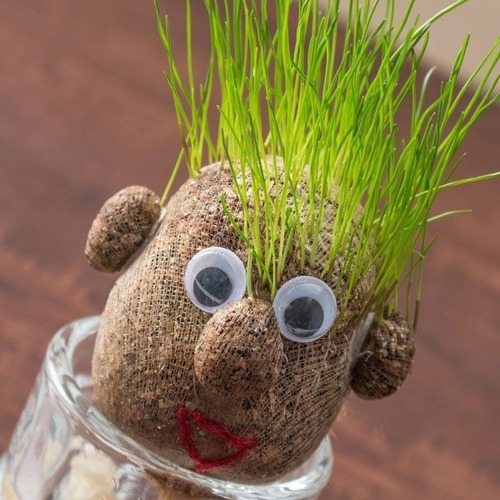 Mr Grass - Cabeza De Pasto - Amigo Grass