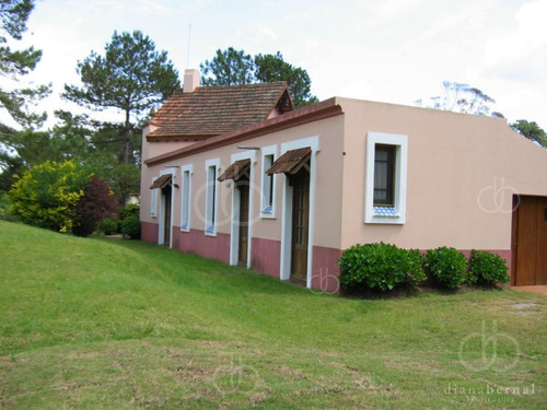 Imagen 8 de 29 de Punta Del Este, Chalet Con Gran Jardín, 4 Dormitorios Y Piscina-