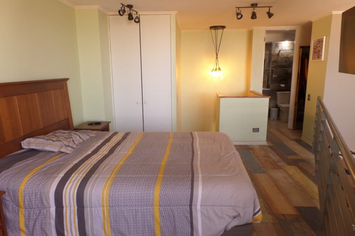 Loft Remodelado - Parque Ohiggins