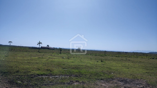 Imagem 17 de 30 de Fazenda Localizada Em Iguape- Sp Com 280 Alqueires - 262 - 71153412