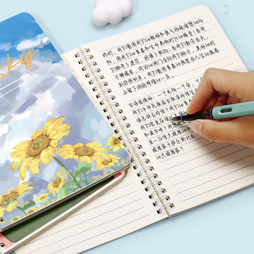Conjunto De 4 Cuadernos A5: Espirales, Profesionales, 60 H
