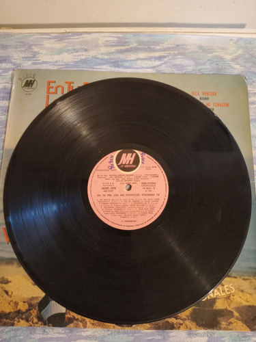 Vinilo Lp En Tu Piel Los Mh Positivos Vol.12 33 Rpm Usado Estándar (Usado)
