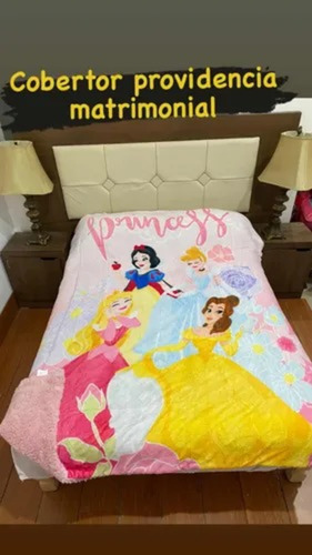 Cobertor Borrega Suave Infantil Matrimonial Providencia Princesas Varios