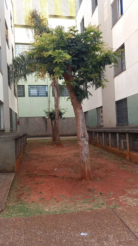 Imagem 13 de 20 de Apartamento Em São Paulo - Sp - Ap0149_slima