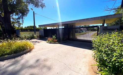 Lote En Venta En Villa Elisa Calle 407 Y 21 - Barrio Privado Las Alondras
