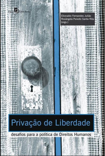 Privação De Liberdade: Desafios Para A Política De Direitos Humanos, De Julião, Elionaldo Fernandes. Editora Paco Editorial, Capa Mole, Edição 1ª  Edição - 2014 Em Português