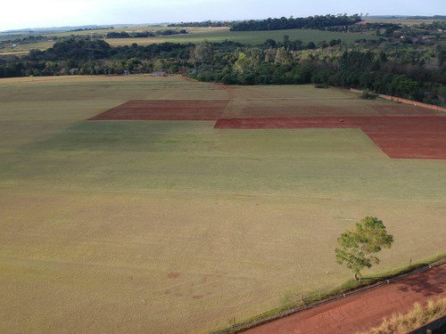 Imagem 7 de 11 de Chácara À Venda, 3240 M² Por R$ 350.000,00 - Imóvel Cataratas - Gleba Ii - Foz Do Iguaçu/pr - Ch0014