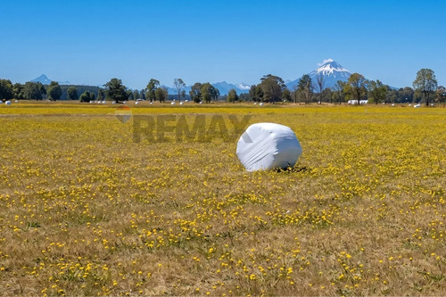 Gran Oportunidad De Terreno | Hitschfeld, Puerto Octay