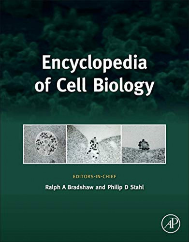Livro Encyclopedia Of Cell Biology De Bradshaw Ralph Elsevie